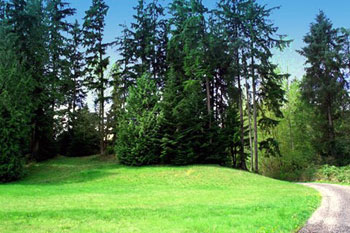 Have a drive through a park on your estate - The Power drive, Our house
