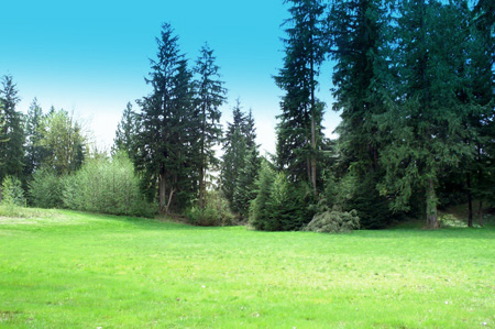 Cut and balance your property